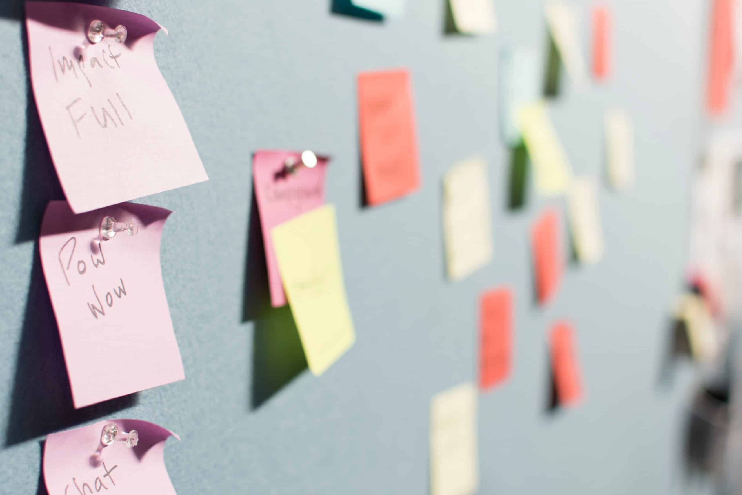Canvas Consulting Service: our latest product | Go–PopUp