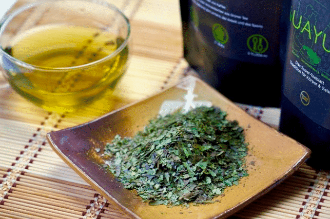Online Pop-Up: Guayusa Company